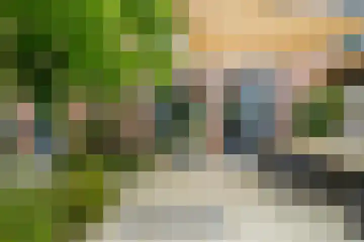 Kamperfoelie 39 Cuijk thumbnail 38