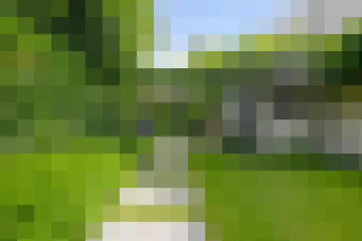 Kamperfoelie 39 Cuijk thumbnail 41
