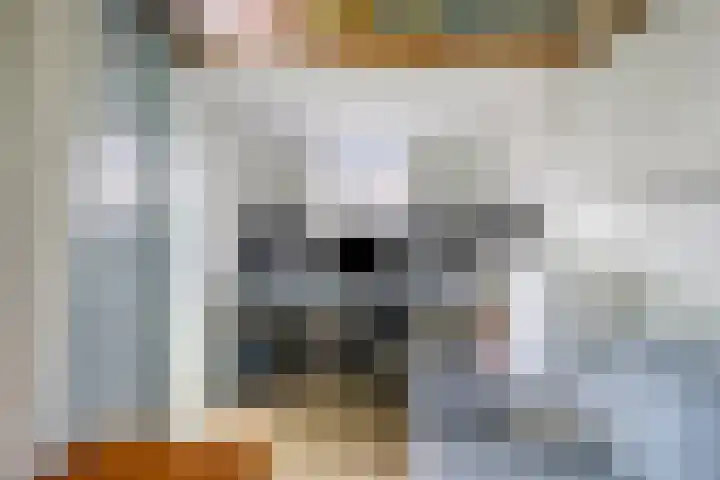 Kamperfoelie 39 Cuijk thumbnail 44