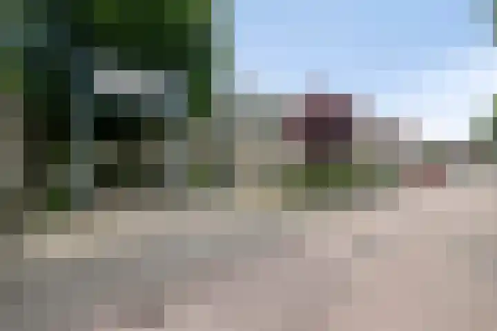 Kamperfoelie 39 Cuijk thumbnail 47