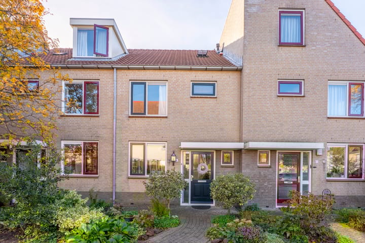 Kamperfoelie 4 in Rijnsburg photo