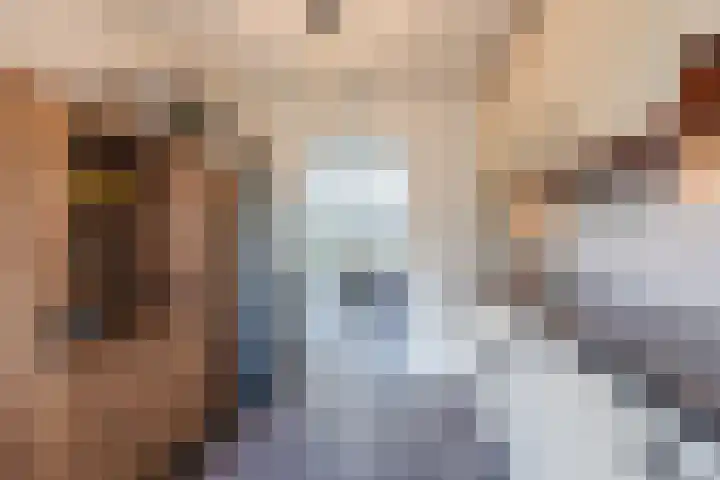 Kamperfoelie 4 Nieuwleusen thumbnail 13