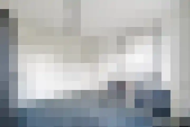 Kamperfoelie 4 Nieuwleusen thumbnail 17