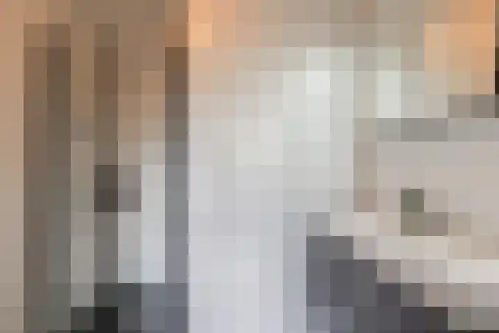 Kamperfoelie 4 Nieuwleusen thumbnail 19