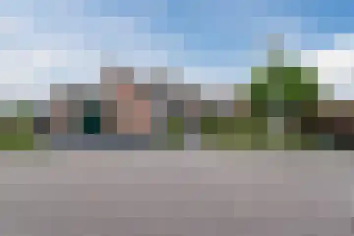 Kamperfoelie 4 Nieuwleusen foto 2