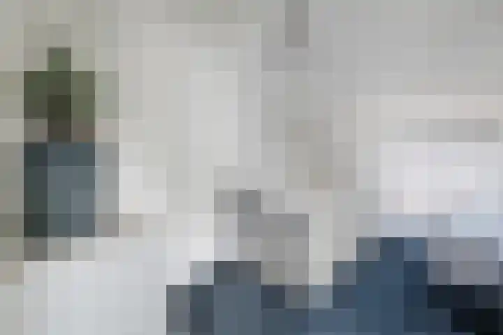 Kamperfoelie 4 Nieuwleusen thumbnail 22