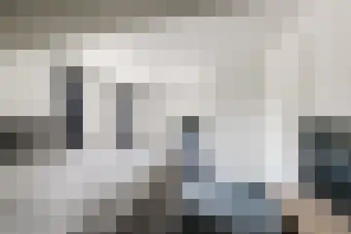 Kamperfoelie 4 Nieuwleusen thumbnail 25