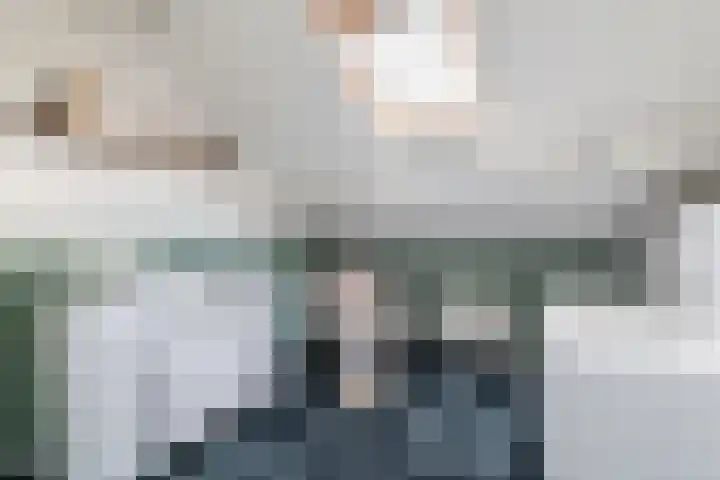 Kamperfoelie 4 Nieuwleusen thumbnail 27