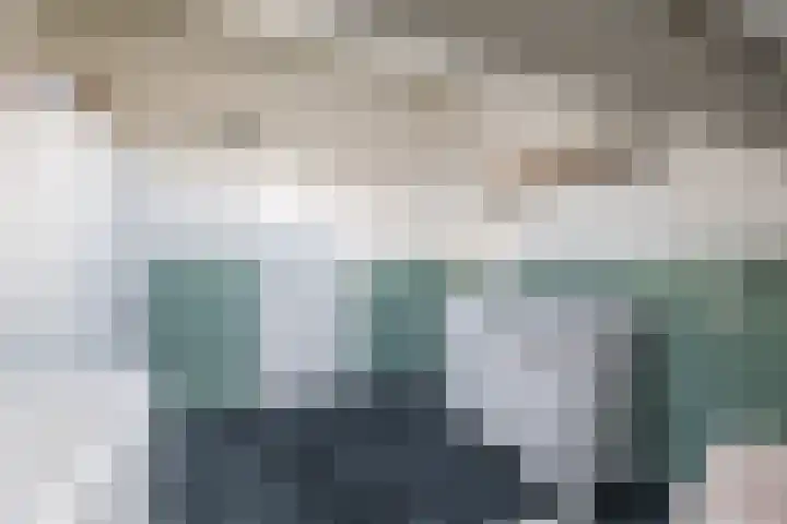Kamperfoelie 4 Nieuwleusen thumbnail 28