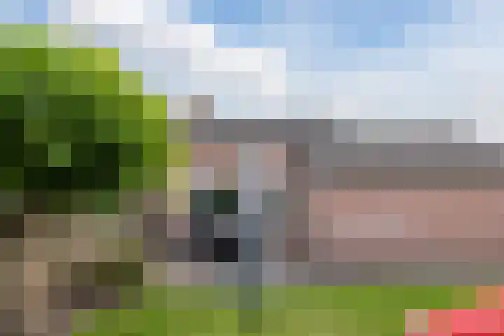 Kamperfoelie 4 Nieuwleusen thumbnail 29