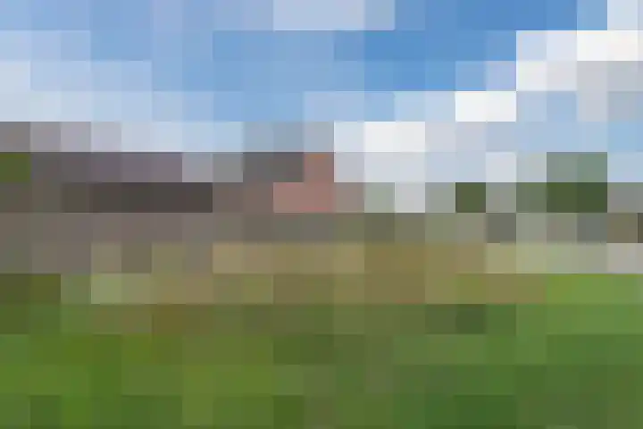 Kamperfoelie 4 Nieuwleusen foto 3