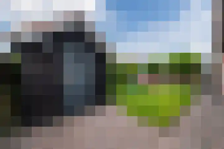 Kamperfoelie 4 Nieuwleusen thumbnail 32