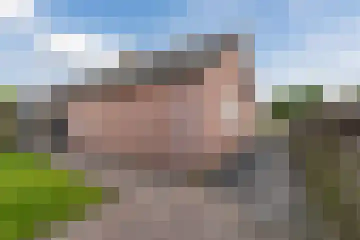 Kamperfoelie 4 Nieuwleusen thumbnail 33