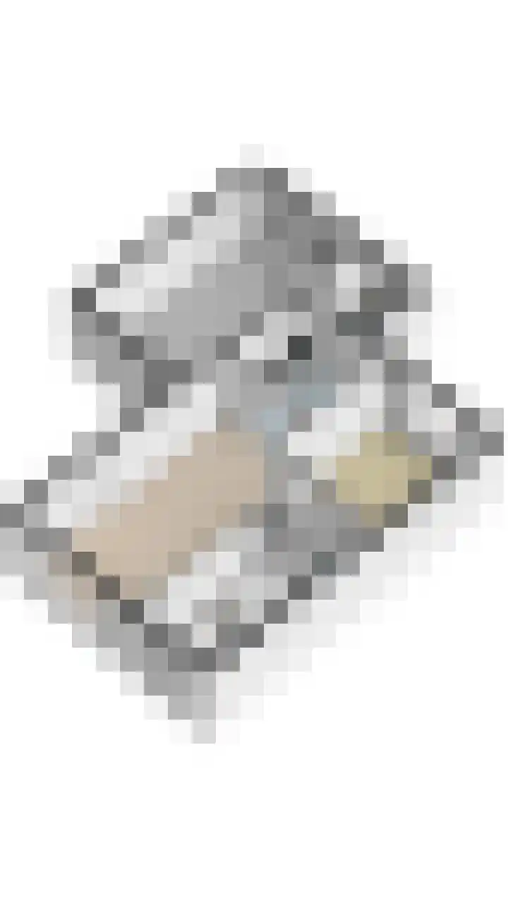 Kamperfoelie 4 Nieuwleusen thumbnail 37