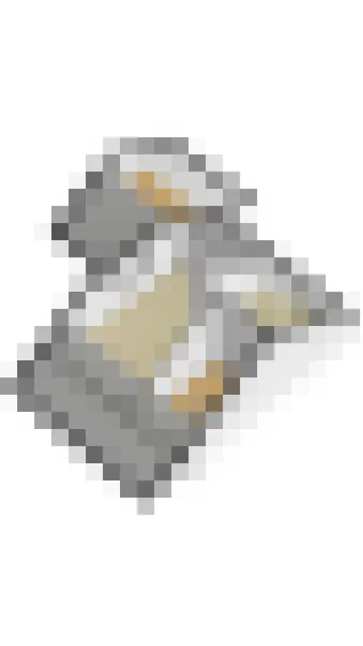Kamperfoelie 4 Nieuwleusen thumbnail 39
