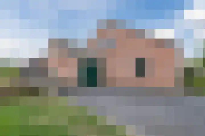 Kamperfoelie 4 Nieuwleusen thumbnail 4