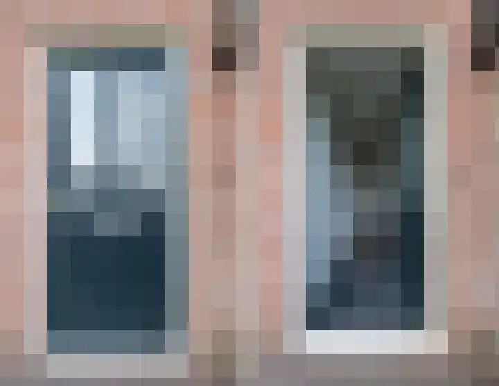 Kamperfoelie 4 Nieuwleusen thumbnail 5