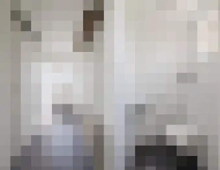 Kamperfoelie 4 Nieuwleusen thumbnail 6