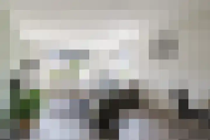 Kamperfoelie 4 Nieuwleusen thumbnail 7