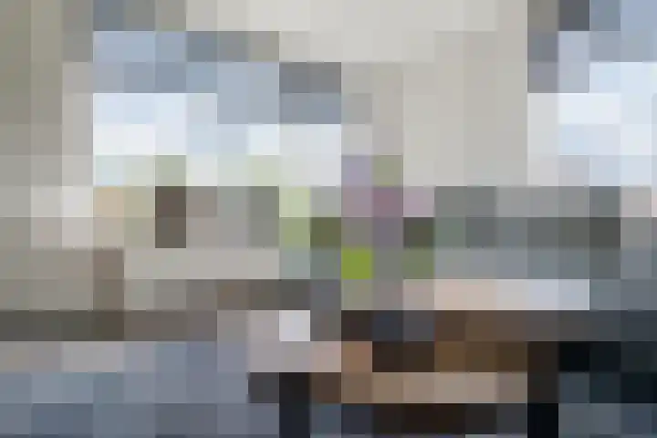 Kamperfoelie 4 Nieuwleusen thumbnail 8