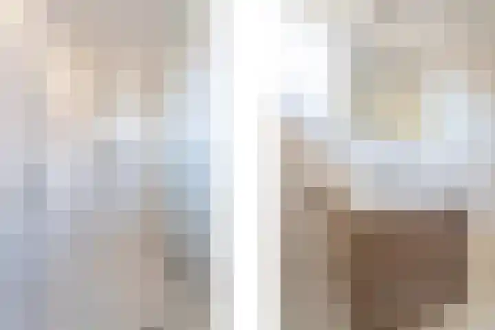 Kamperfoelie 4 Rijnsburg thumbnail 21
