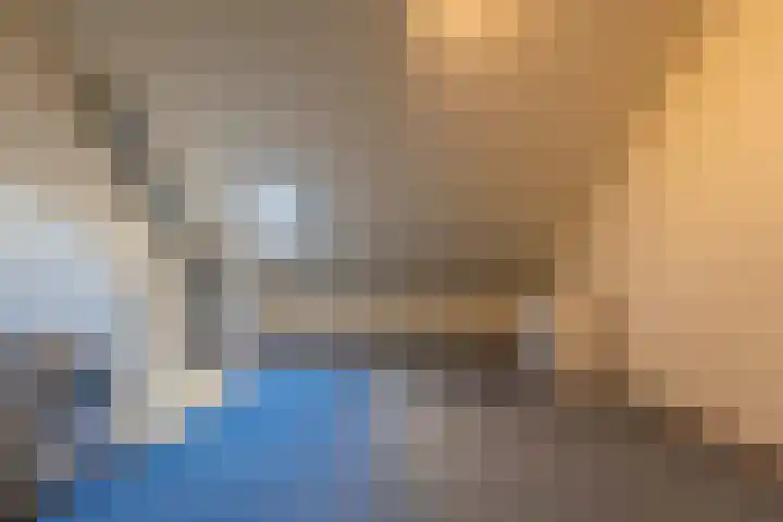 Kamperfoelie 4 Rijnsburg thumbnail 23