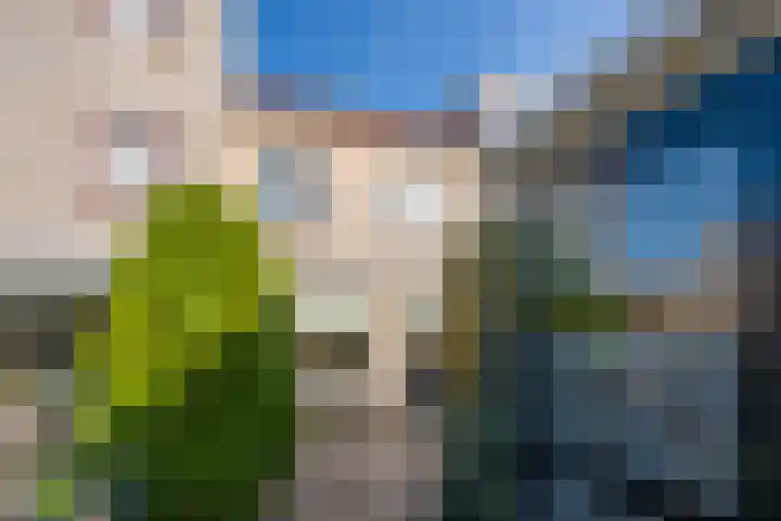 Kamperfoelie 4 Rijnsburg thumbnail 26