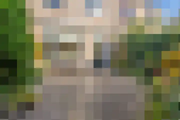 Kamperfoelie 4 Rijnsburg thumbnail 28