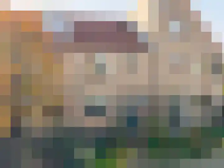 Kamperfoelie 4 Rijnsburg thumbnail 31
