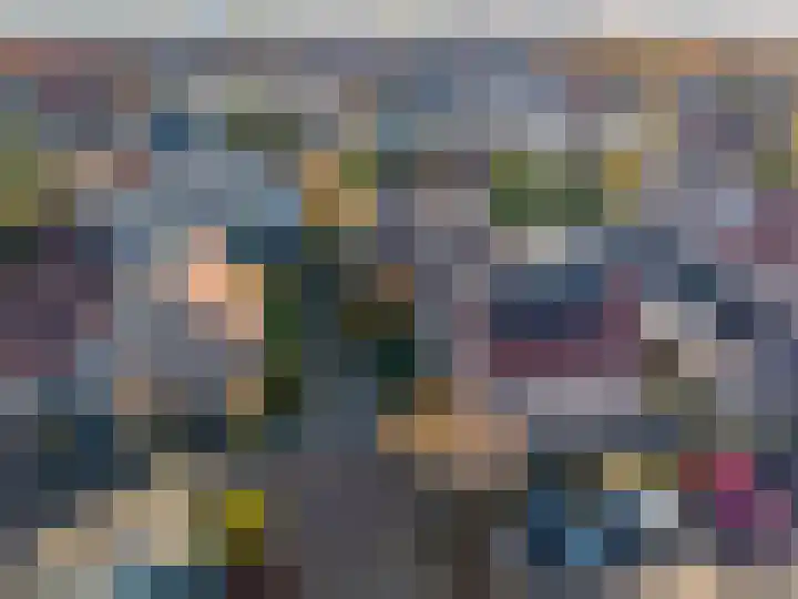Kamperfoelie 4 Rijnsburg thumbnail 33