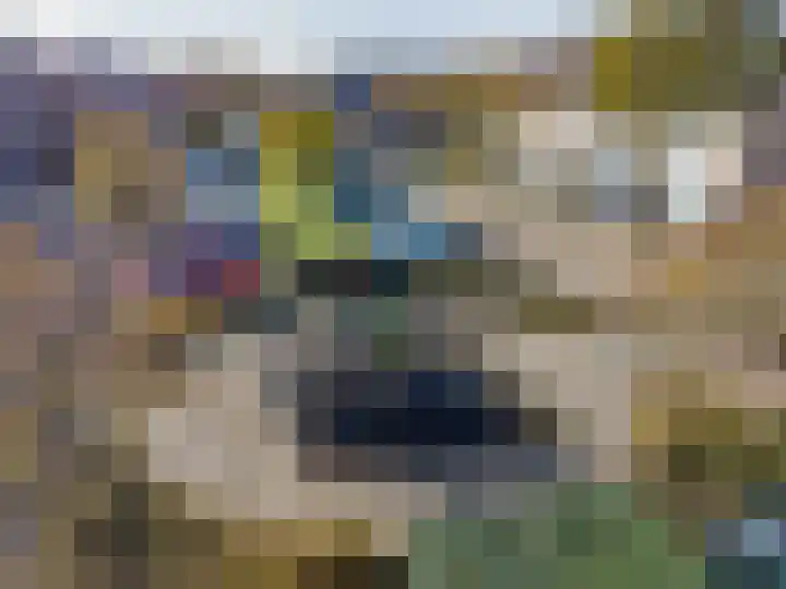 Kamperfoelie 4 Rijnsburg thumbnail 34