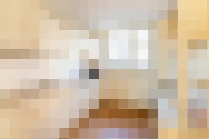 Kamperfoelie 4 Rijnsburg thumbnail 7