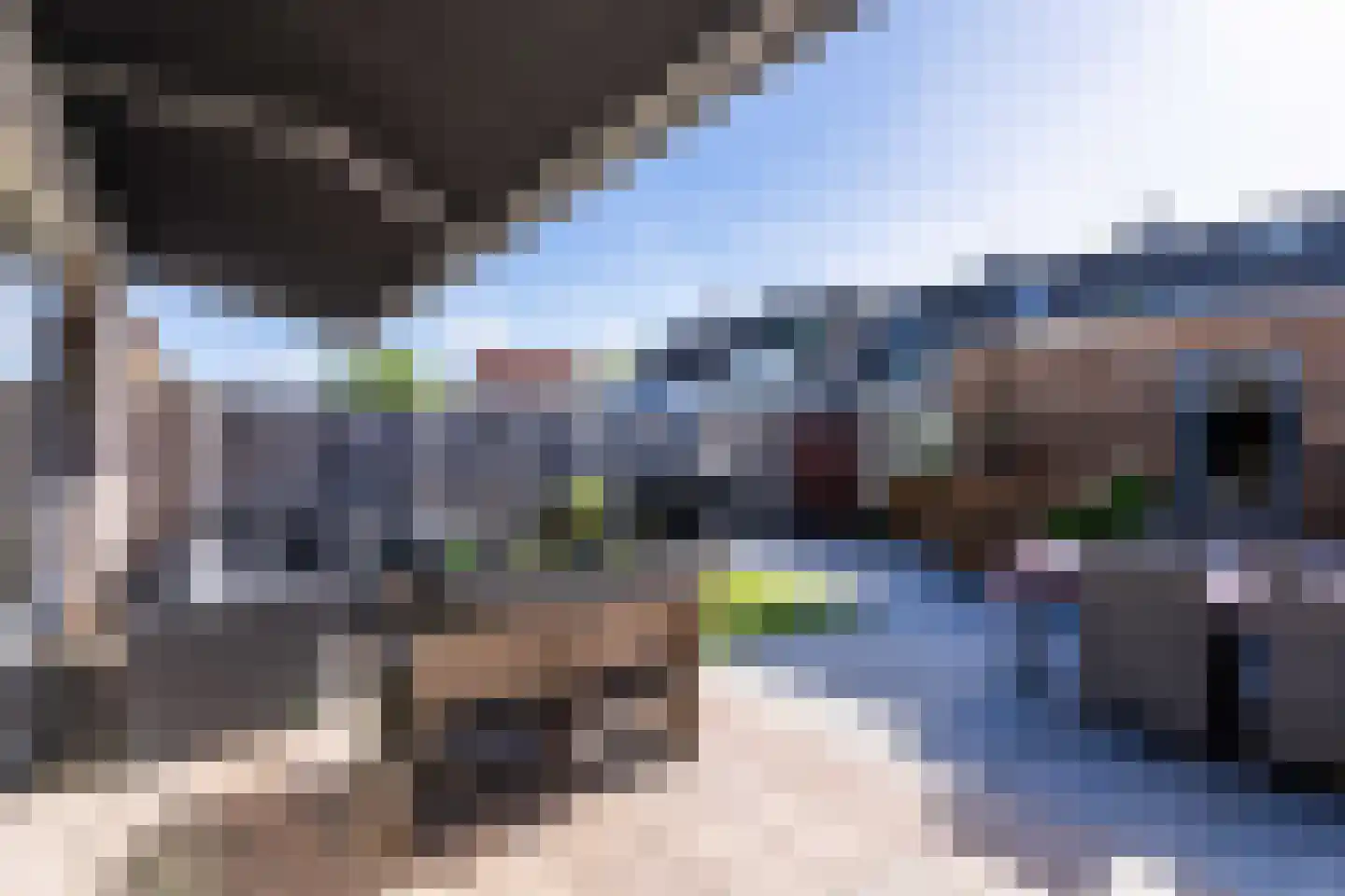Kamperfoelie 51 Rijnsburg thumbnail 39
