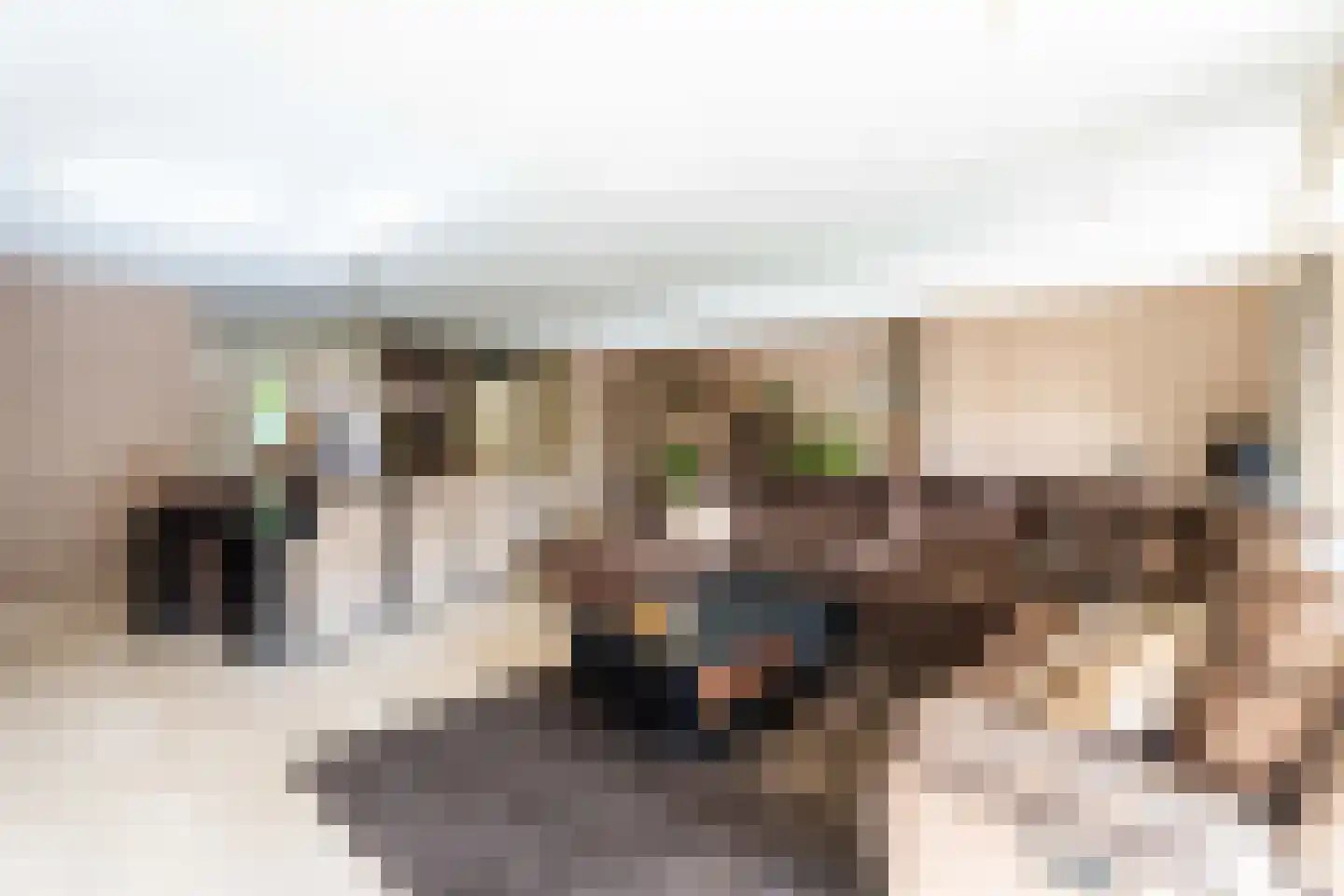 Kamperfoelie 51 Rijnsburg thumbnail 4