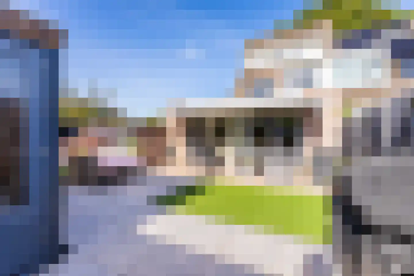 Kamperfoelie 51 Rijnsburg thumbnail 40