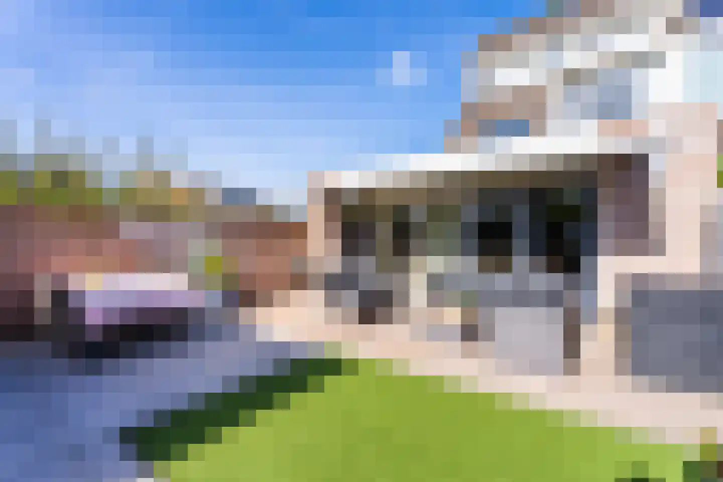 Kamperfoelie 51 Rijnsburg thumbnail 42
