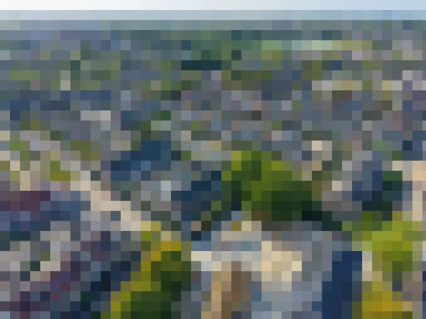 Kamperfoelie 51 Rijnsburg thumbnail 44