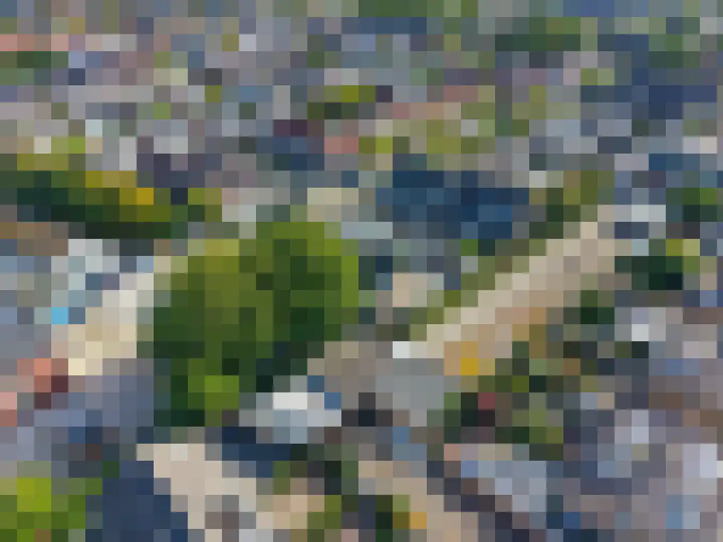 Kamperfoelie 51 Rijnsburg thumbnail 45
