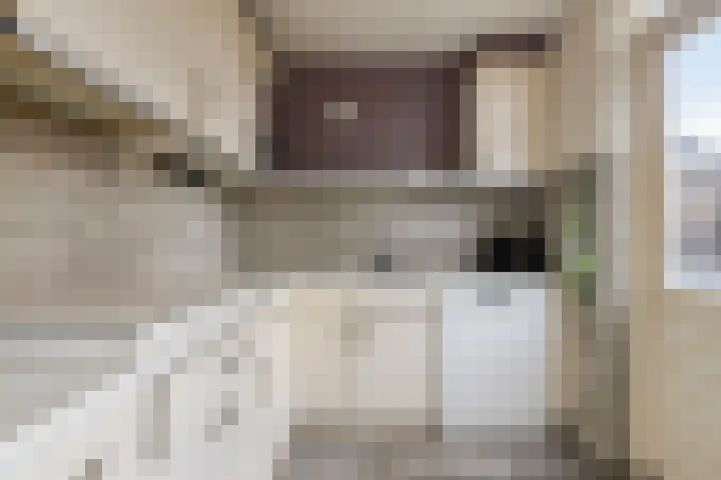 Kamperfoelie 55 Venray thumbnail 12