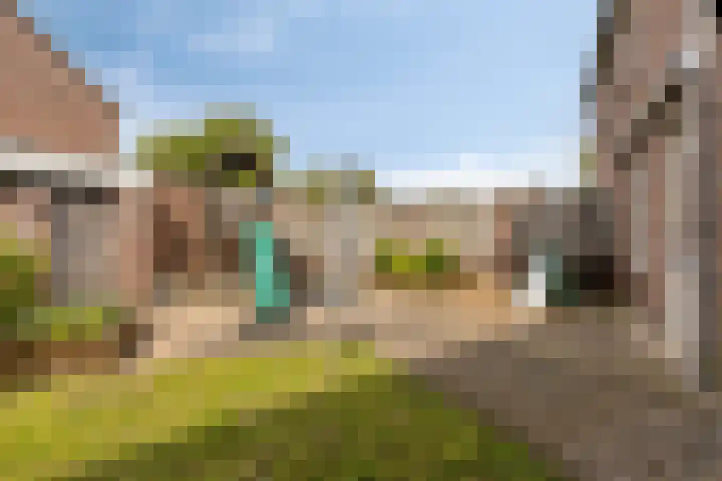 Kamperfoelie 55 Venray thumbnail 27