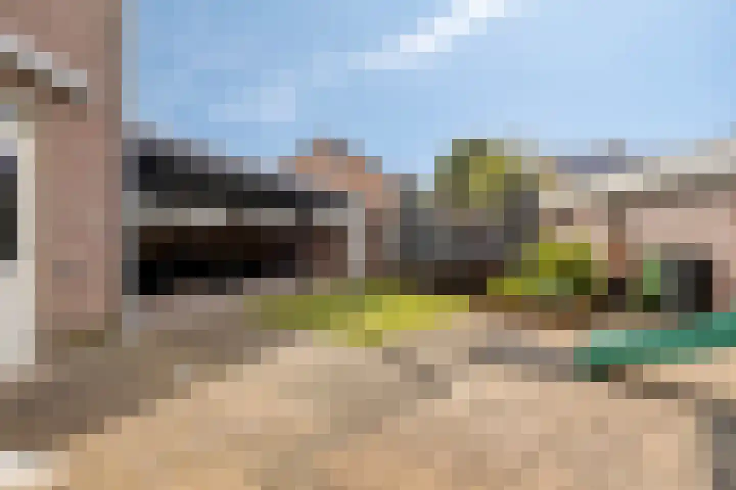 Kamperfoelie 55 Venray thumbnail 28