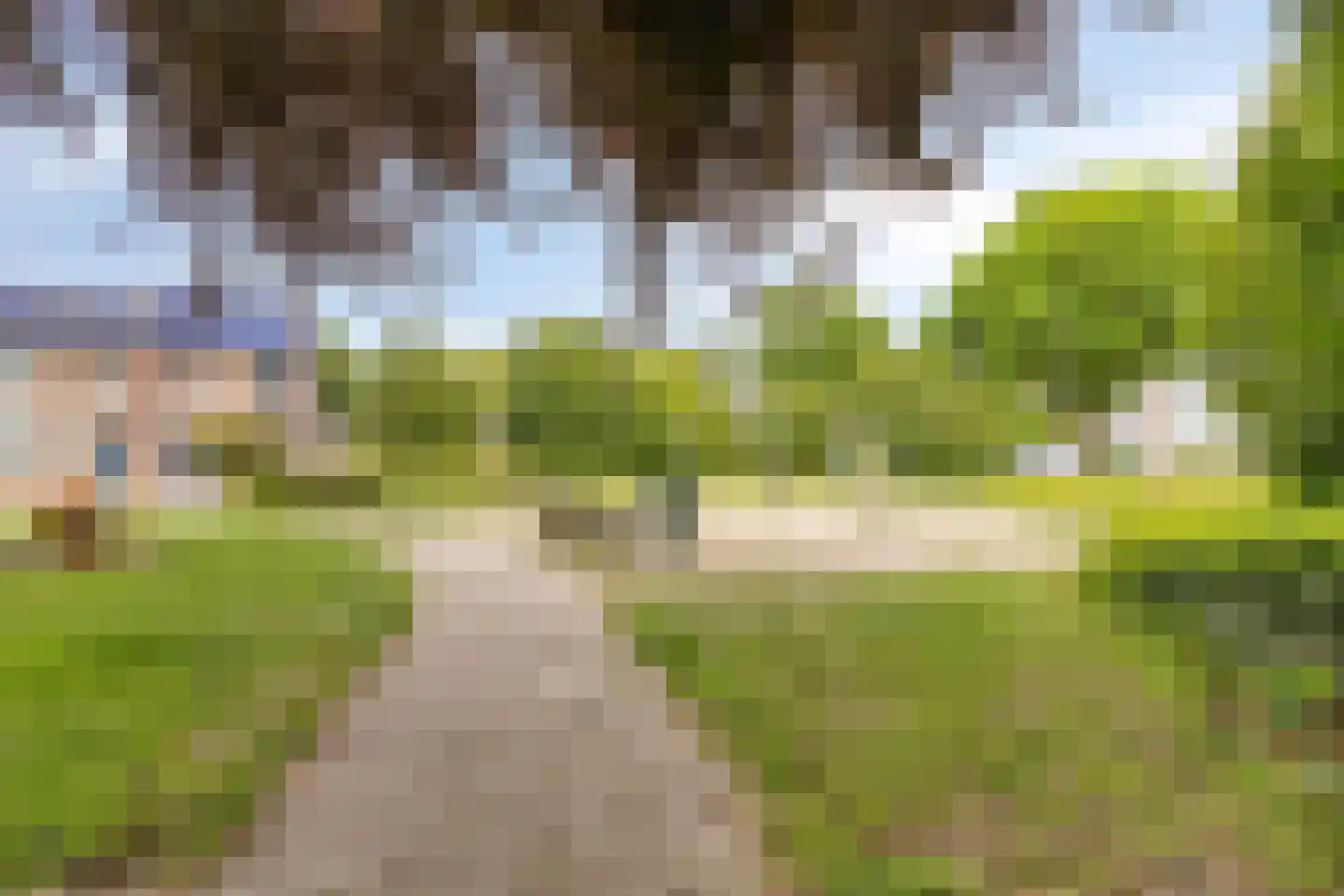 Kamperfoelie 55 Venray thumbnail 34