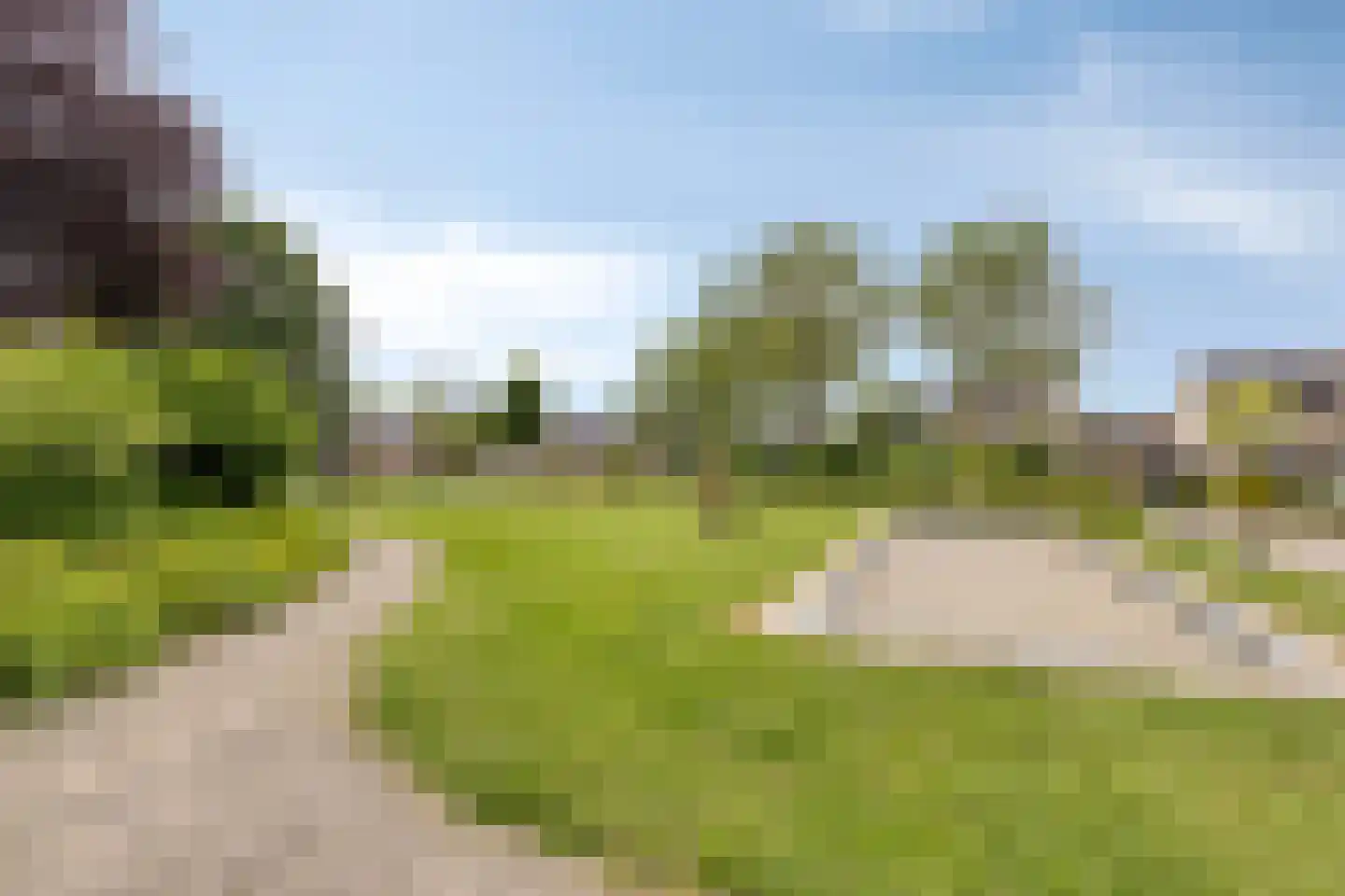 Kamperfoelie 55 Venray thumbnail 35