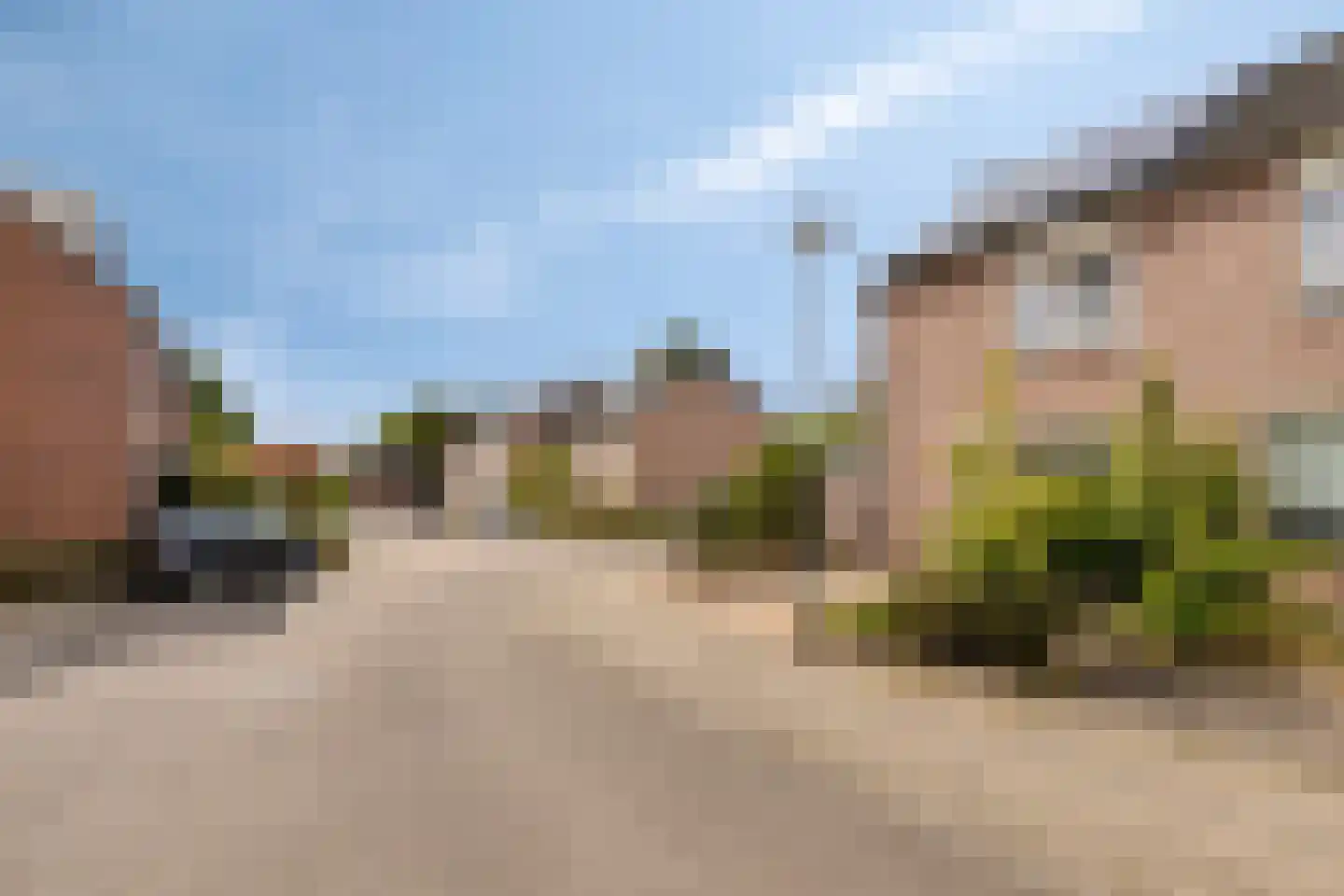 Kamperfoelie 55 Venray thumbnail 36