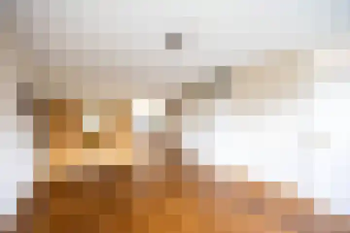 Kamperfoelie 80 Venray thumbnail 10