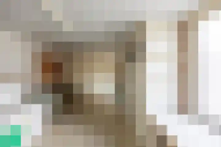 Kamperfoelie 80 Venray thumbnail 20