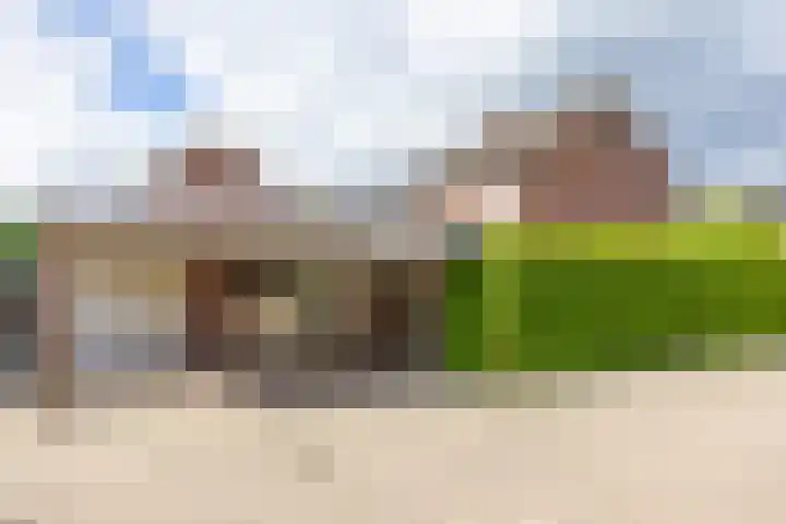 Kamperfoelie 80 Venray thumbnail 33