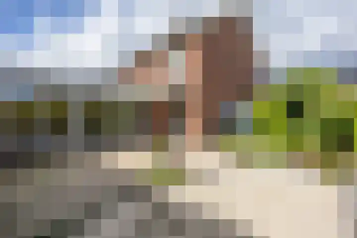 Kamperfoelie 80 Venray thumbnail 34
