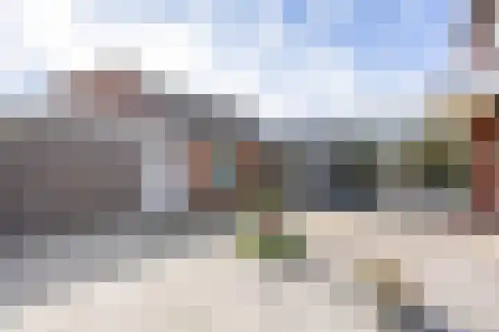 Kamperfoelie 80 Venray thumbnail 35