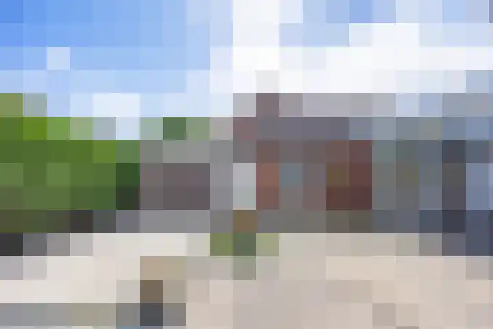 Kamperfoelie 80 Venray thumbnail 36